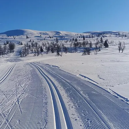 Synnseter Lägenhet Lii