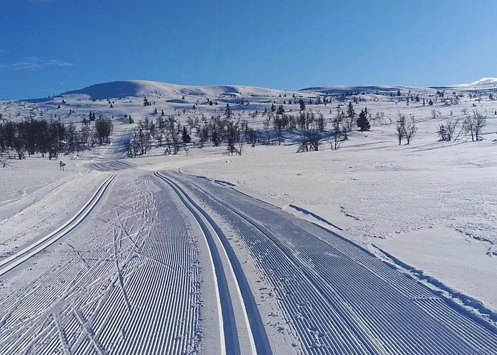 Synnseter Lägenhet Lii
